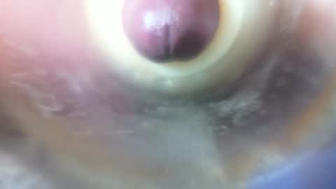 Marc online show from February 6, 2026, 11:41 pm