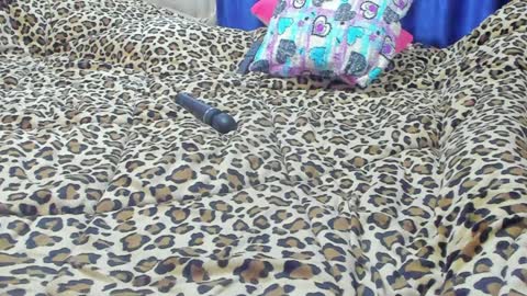 Snapshot of marie_marie03 chatting on January 23, 2025, 1:56 pm Marie   online show from January 23, 2025, 1:56 pm