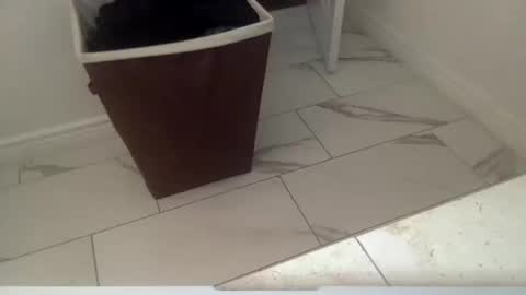 markk702 online show from October 11, 2025, 4:27 pm