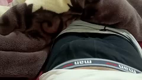 marocreda33 online show from January 30, 2025, 8:53 pm