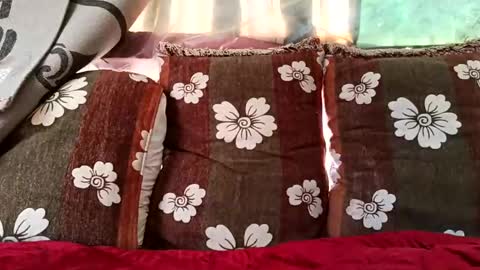 marocreda33 online show from February 10, 2025, 10:20 am