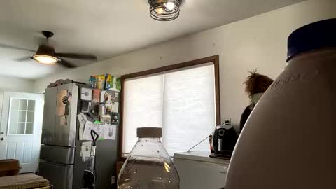 maroon_moon online show from February 18, 2025, 7:41 pm