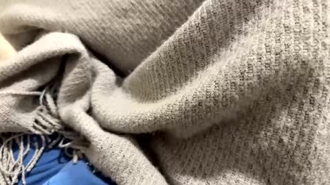 marriedthickdick37 online show from January 12, 2025, 10:12 pm