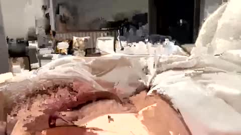 marriedthickdick37 online show from February 12, 2025, 5:37 am