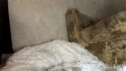 Marta online show from November 27, 2025, 7:54 am