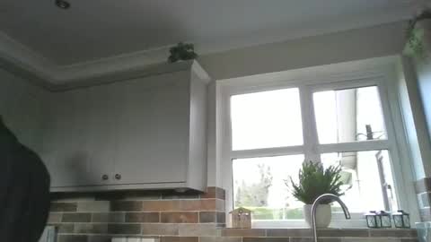 Snapshot of martinrgbxxxx chatting on December 15, 2024, 9:56 am martinrgbxxxx online show from December 15, 2024, 9:56 am