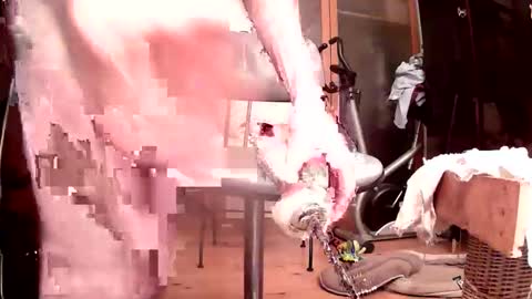 Snapshot of maschpro chatting on October 24, 2025, 5:09 pm maschpro online show from October 24, 2025, 5:09 pm