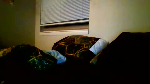 alex online show from January 12, 2025, 4:10 am