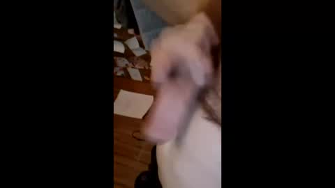 masturbator469658 online show from March 22, 2026, 1:36 pm