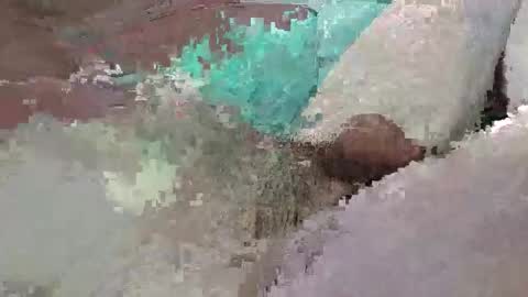 Snapshot of mathisdavid6757 chatting on February 7, 2026, 12:20 pm mathisdavid6757 online show from February 7, 2026, 12:20 pm