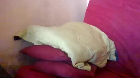 Snapshot of matricule4246 chatting on April 12, 2026, 9:25 am joyaam79 online show from April 12, 2026, 9:25 am