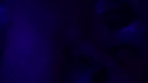 SilverFox online show from November 10, 2025, 10:36 am