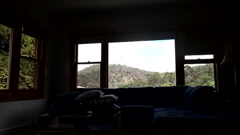 mattlesnake_101 online show from February 15, 2026, 12:40 am