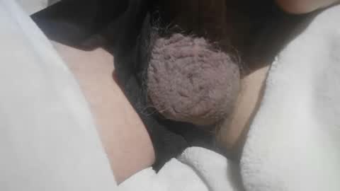 Snapshot of mattty13 chatting on May 15, 2026, 6:04 pm Hairy Bud online show from May 15, 2026, 6:04 pm