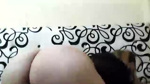 Snapshot of mature_sweet3827 chatting on December 6, 2024, 5:53 am mature_sweet3827 online show from December 6, 2024, 5:53 am