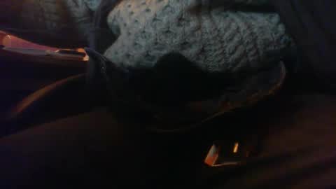 Maturedaddi online show from January 3, 2025, 7:07 pm