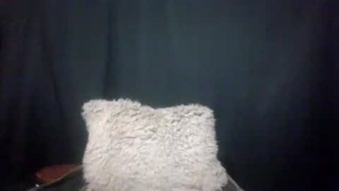 Snapshot of maximus_oreally chatting on January 4, 2025, 3:40 am Max online show from January 4, 2025, 3:40 am