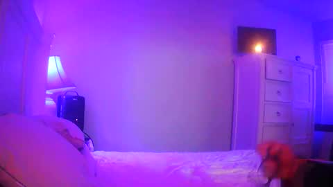 mecrago online show from January 14, 2026, 8:09 am