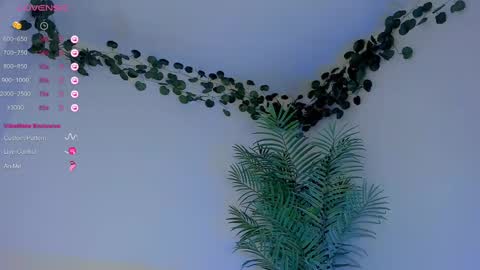 Snapshot of megancarlott_ chatting on March 1, 2025, 5:31 am megancarlott_ online show from March 1, 2025, 5:31 am