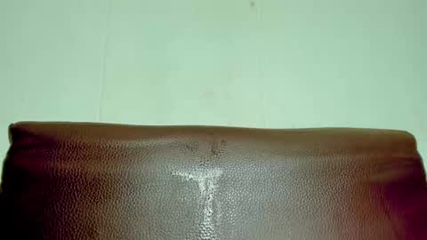 Snapshot of melania_browis chatting on March 27, 2026, 2:06 pm Melania online show from March 27, 2026, 2:06 pm