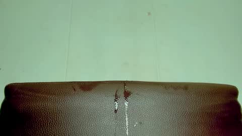 Snapshot of melania_browis chatting on April 12, 2026, 4:01 pm Melania online show from April 12, 2026, 4:01 pm