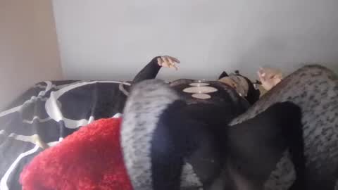 melany_suarez2026 online show from June 28, 2026, 6:08 am