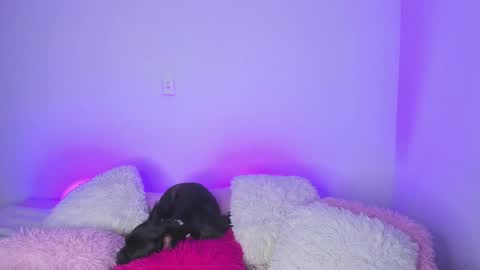    online show from February 15, 2025, 4:36 am