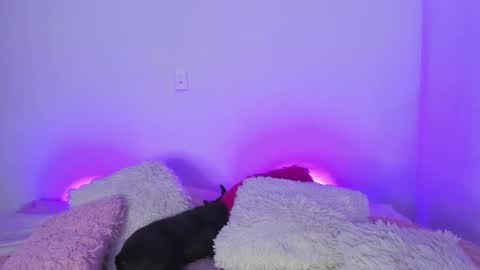    online show from March 5, 2025, 4:56 am