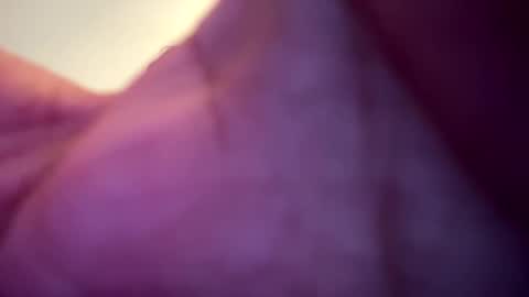 memolesta13 online show from February 9, 2025, 2:06 am