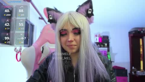 meowmelf online show from January 13, 2026, 7:41 pm