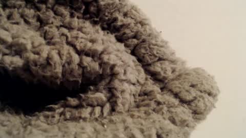 Mauro online show from February 1, 2025, 5:37 pm