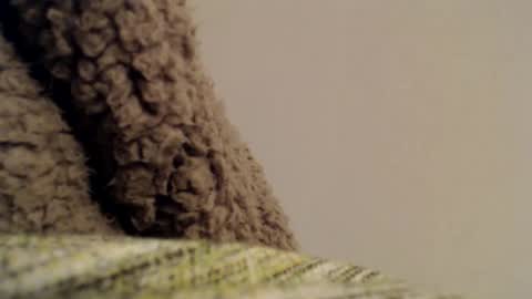 Mauro online show from February 6, 2025, 11:37 pm