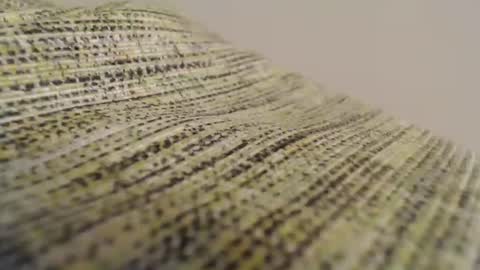 Mauro online show from February 11, 2025, 8:52 pm