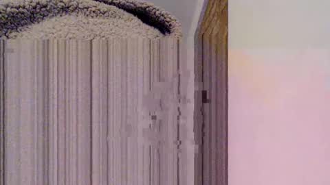 Mauro online show from February 15, 2025, 10:52 pm