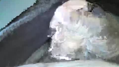 mexianthehawk online show from September 14, 2025, 10:09 pm