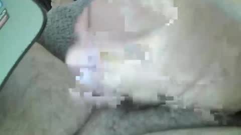 Snapshot of mexianthehawk chatting on March 14, 2026, 5:02 am mexianthehawk online show from March 14, 2026, 5:02 am