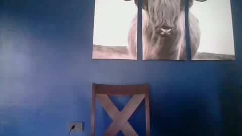 mexican19876 online show from April 29, 2026, 3:38 pm