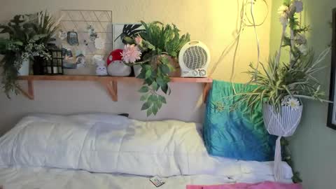 Miaa online show from December 20, 2024, 7:12 am