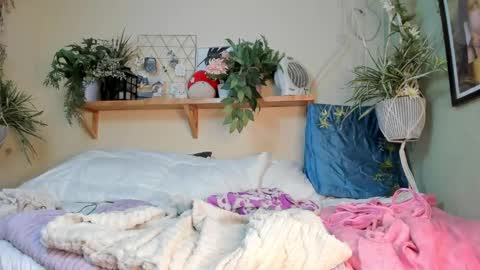 Miaa online show from December 20, 2024, 10:16 am