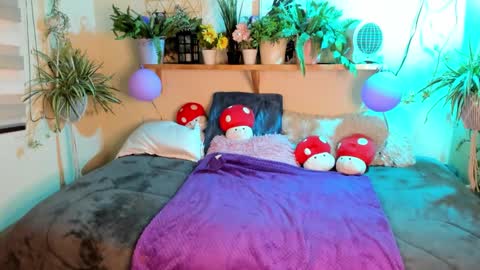 Miaa online show from March 10, 2026, 8:25 pm