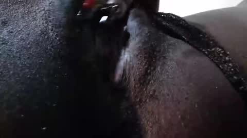 Snapshot of micmash_ chatting on December 16, 2025, 12:43 pm mickey online show from December 16, 2025, 12:43 pm