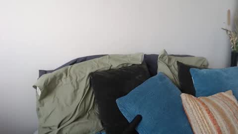 MidsummerNightsDream online show from January 5, 2026, 5:27 pm