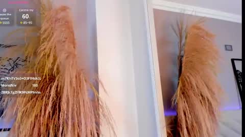   online show from March 12, 2025, 6:11 pm