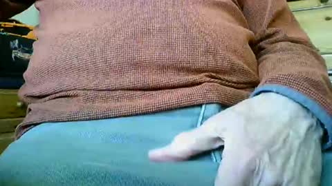 mikeybed online show from April 22, 2026, 9:44 am