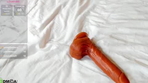 mila_kinor online show from February 25, 2026, 5:06 am