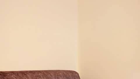 Snapshot of mila_monty__ chatting on December 28, 2024, 10:14 am     online show from December 28, 2024, 10:14 am