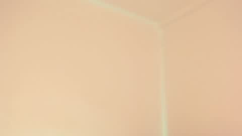 Snapshot of mila_monty__ chatting on December 28, 2024, 1:17 pm     online show from December 28, 2024, 1:17 pm