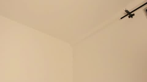 Snapshot of mila_monty__ chatting on February 14, 2025, 7:28 am     online show from February 14, 2025, 7:28 am