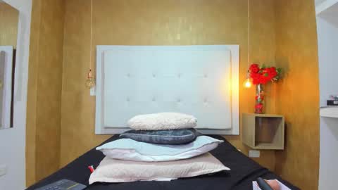          online show from February 20, 2026, 8:31 pm