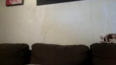 BabygirlsFreaky online show from May 24, 2026, 3:17 pm